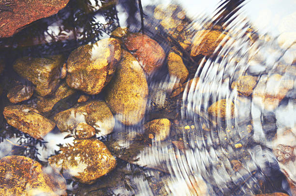 istock Ripples and reflections in a pebbly pond 629584560