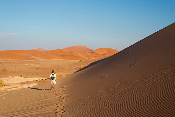 istock Walking on the sand dunes, Namibia, Africa 629587206