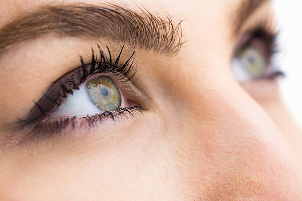 istock Beautiful woman eye against white background 629588404