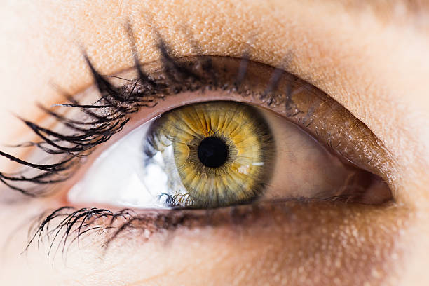 istock Beautiful woman eye against white background 629588518