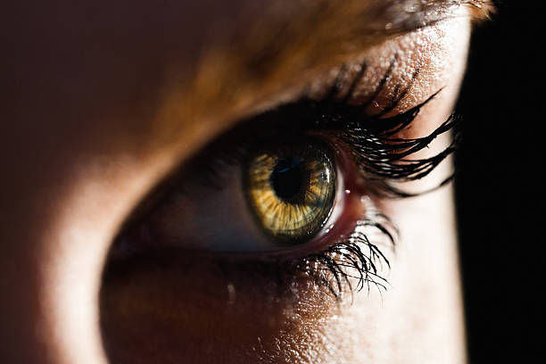 istock Beautiful woman eye against white background 629588980