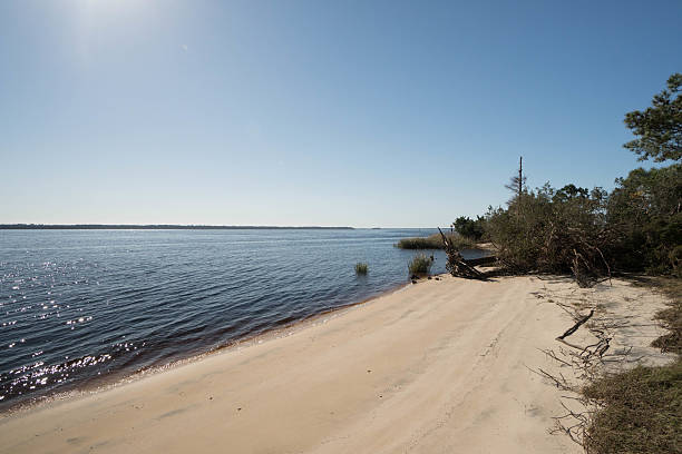istock small beach in Georgetown in South Carolina 629590202