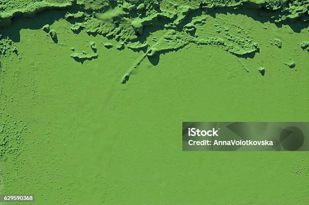 Grünen Grunge Zement Hintergrund Grün Farbe Des Jahres 2017 Pantone Stockfoto und mehr Bilder von 2017