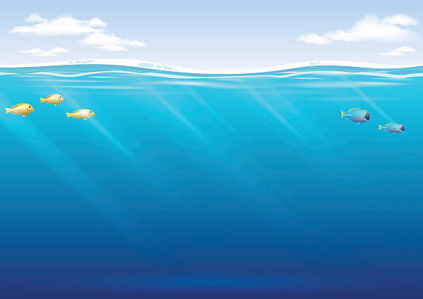 подводный фон в векторной графике - natural pool fish sea water stock illustrations