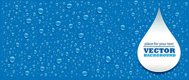 Vector illustration of many water drops blue background with place for text