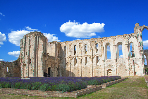 Maillezais. Ruinas de la Catedral de San Pedro, Vendée, Pays de Loire photo