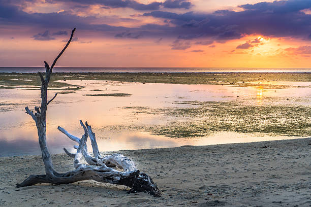 istock Gili Trawangan (Lombok), Indonesia 629611718