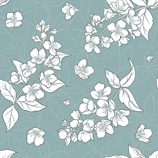 Jasmine Tea Vector Art Graphics Freevector Com Jasmine Tea Vector Art Graphics Freevector Com