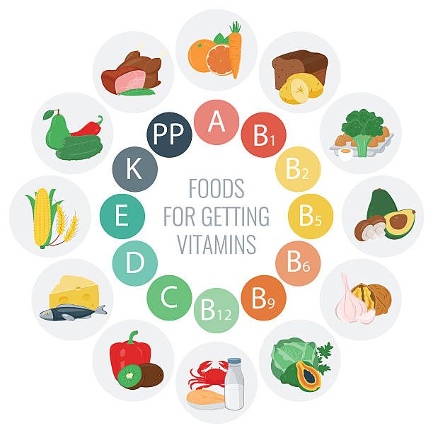 ilustrações, clipart, desenhos animados e ícones de vitamina fontes de alimentos com gráfico e outros elementos para infográficos. - vitamin k illustrations