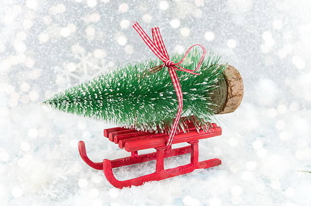 istock Red sleigh carrying a small Christmas tree 629612016