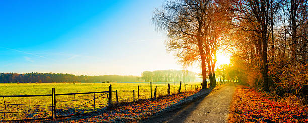 paisaje de otoño  - meadow single lane road nature field fotografías e imágenes de stock