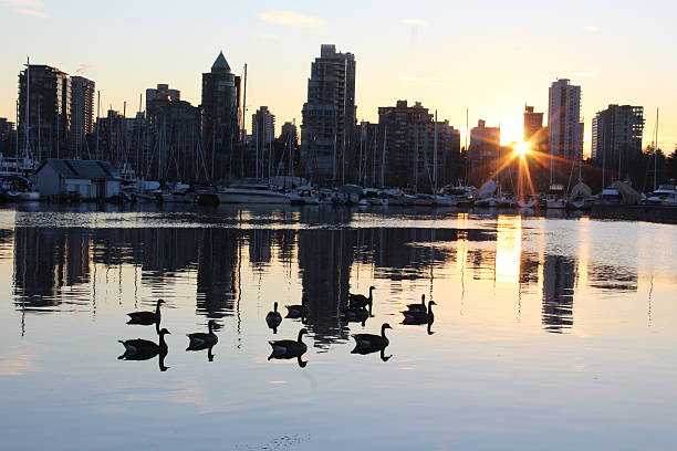 istock Vancouver city skyline at sunset dusk 629613618