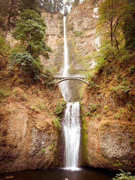 istock Latourell falls in Oregon 629614142