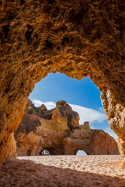istock Early morning at the beach 629614272