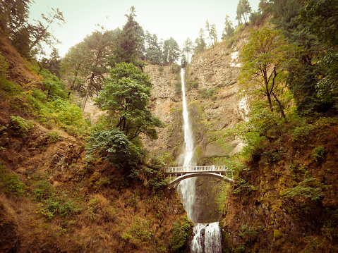 Latourell falls in Oregon