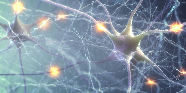 Neurons Electric Pulse 3D illustration of Interconnected neurons with electrical pulses. neurotransmitter stock pictures, royalty-free photos & images