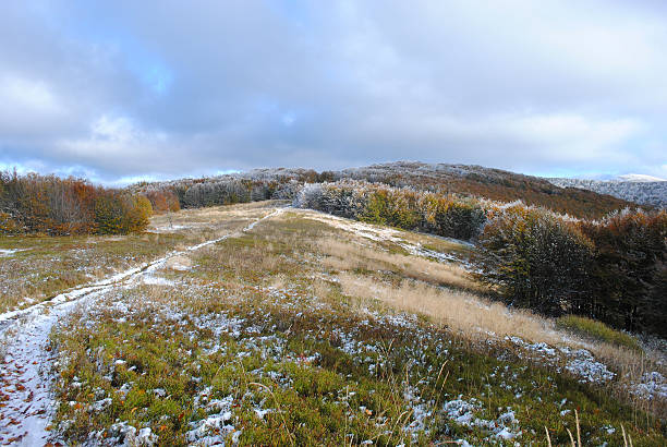istock Mountain landscape in the autumn. Bieszczady 629614596