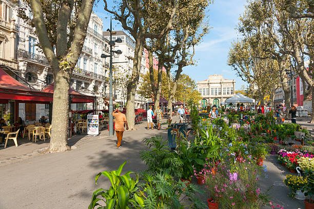 Beziers street scene, AllÃ©es Paul Riquet on market day, people Beziers, France - September 23, 2016: Beziers street scene, Allees Paul Riquet on market day, people buy plants and produce, popular area for cafes and bars with theatre at end of promenade beziers stock pictures, royalty-free photos & images