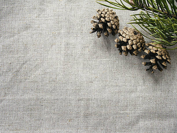istock Christmas tree and cones on the cotton cloth background. 629615804