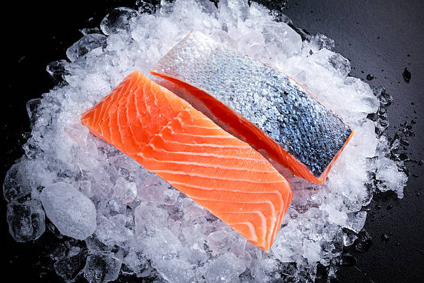 istock Fresh Raw two salmon fillet on ice 629616302