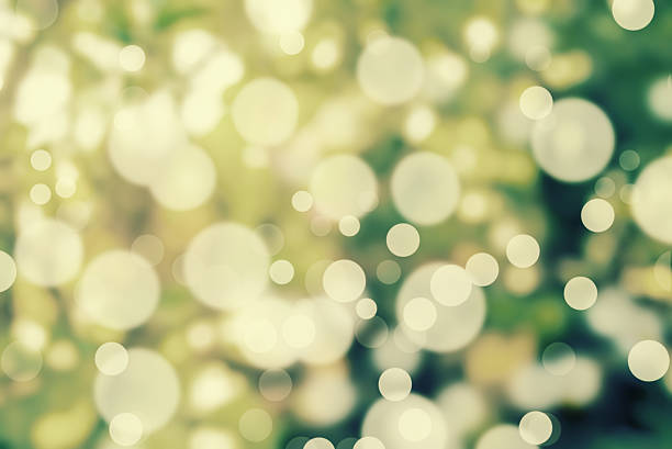 istock Blur light bokeh with blur tree in background. Abstract backgrou 629622742