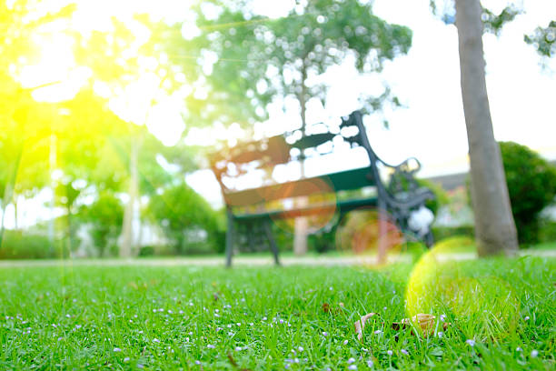 lighting flare effect on Abstract blur chair in park with bokeh background and sun light.