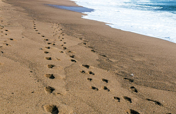 istock Footprints on Wet Textured Beach Sand 629623324