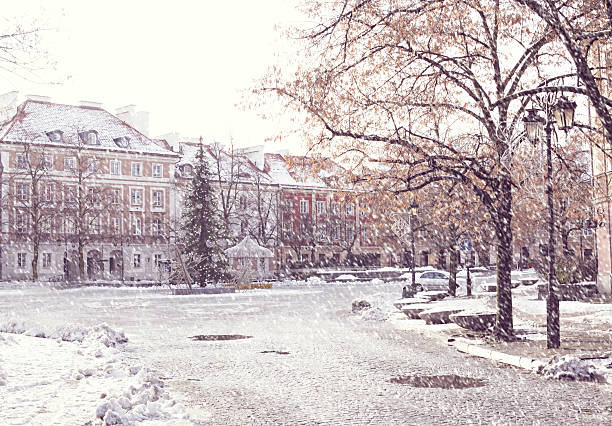 istock Winter scene in Poland 629623452