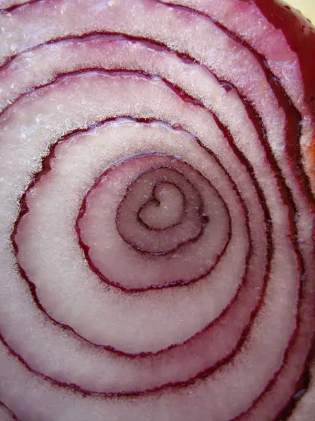 An onion cut in half revealing a naturally found heart shape in the center.