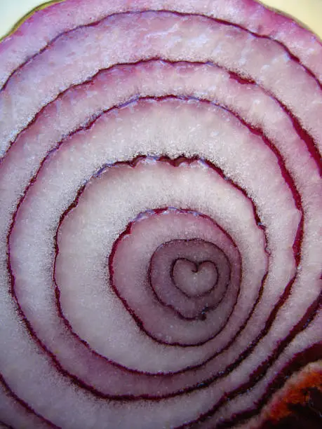 An onion cut in half revealing a naturally found heart shape in the center.
