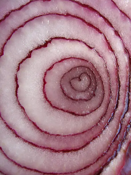 An onion cut in half revealing a naturally found heart shape in the center.