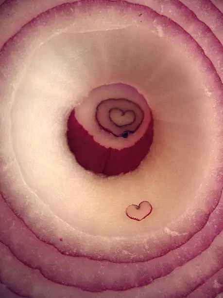 An onion cut in half revealing a naturally found heart shape in the center.