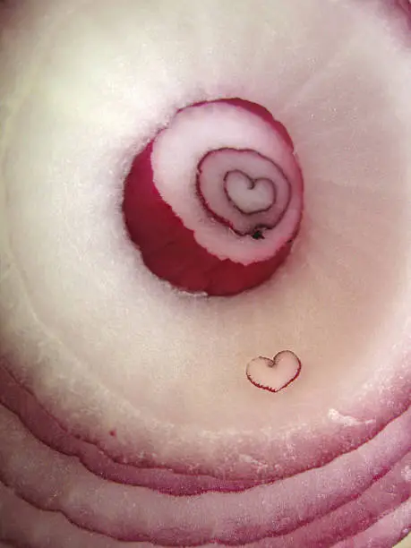 A raw sliced red onion revealing a naturally found heart shape in the center