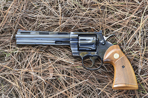 10+ Python Handgun Stock Photos, Pictures & Royalty-Free Images - iStock