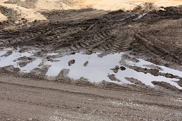 istock Muddy Tire Tracks Leading to Sawdust Pile 629628464