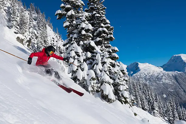 Female skier making a turn in pristine untouched fresh powder on a bluebird day enjoying the freedom, adventure and excitement of skiing in the mountains.  Skiing is a great way to get away from it all allowing you to live in the moment while experiencing nature at its finest.