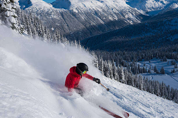 istock Female tree skiing fresh powder 629629226