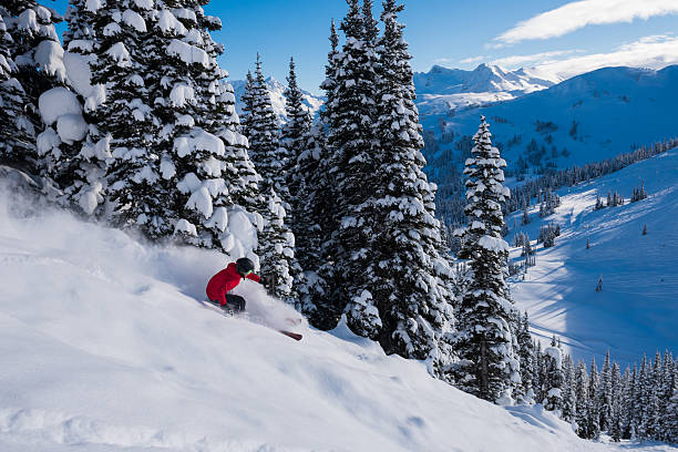 istock Female tree skiing fresh powder 629629394