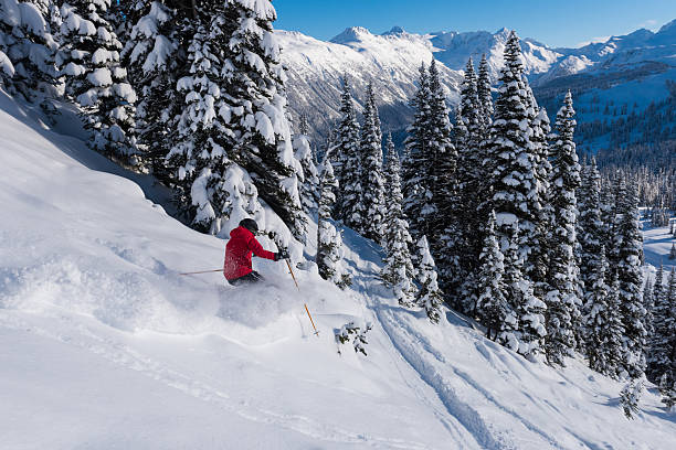 istock Female tree skiing fresh powder 629629874