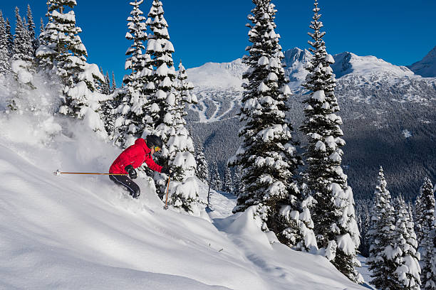 istock Female tree skiing fresh powder 629630278