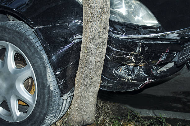 istock Car crashed, head on into a tree near the road 629639074