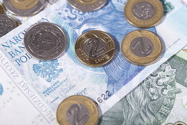 istock Polish zloty 629639602
