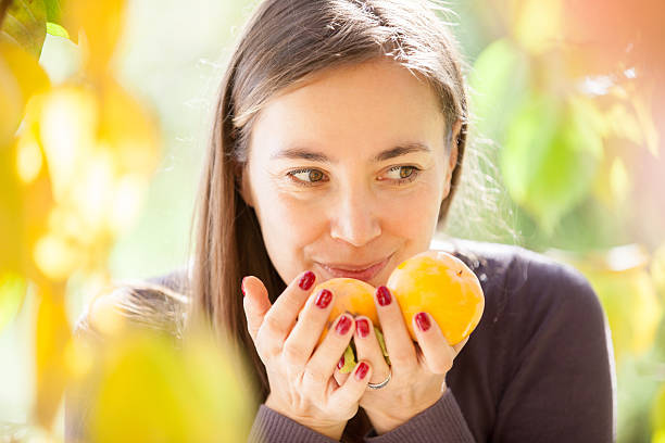 Young Woman Handpicking Persimmon Fruit from the Tree