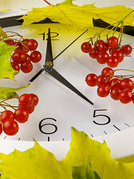 cinque. faccia dell'orologio con foglie e viburno. - clock 5 oclock red clock face foto e immagini stock