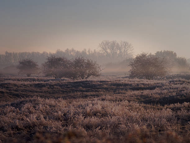 istock foggy winter landscape 629651924