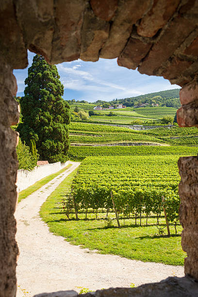 istock Novacella Abbey 629652462