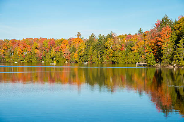 istock Autumn colors in Quebec, Canada 629652590