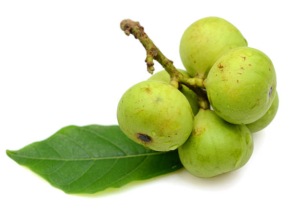 Fresh figs fruits (Ficus glomerata) isolated on white background