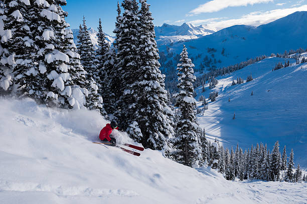 istock Female tree skiing fresh powder 629653730