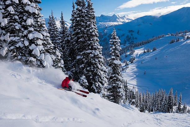 árvore feminina esquiando em pó fresco - skiing winter sport powder snow athlete - fotografias e filmes do acervo